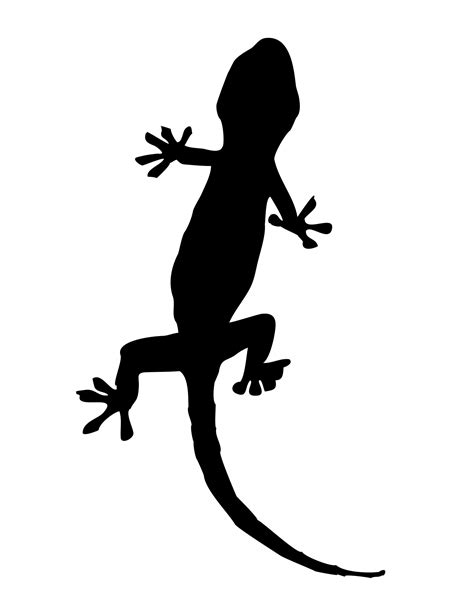 free lizard clipart black and white download free lizard clipart black and white png images