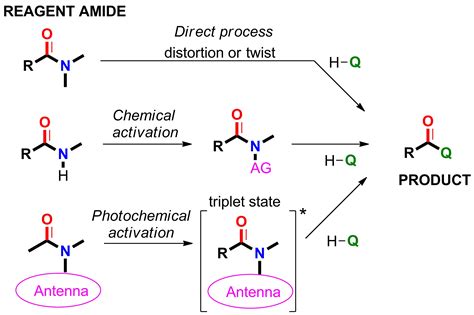 Molecules Free Full Text Amide Activation In Ground And Excited States