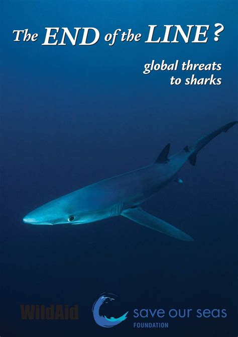 The End Of The Line Global Threats To Sharks Save Our Seas Foundation