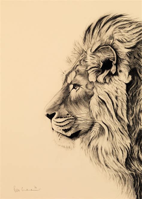 Lion Drawing Tattoo