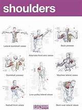 Training Exercises Shoulders Images