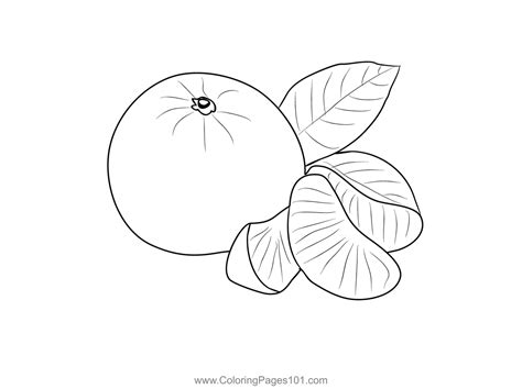Oranges 3 Coloring Page For Kids Free Orange Printable Coloring Pages