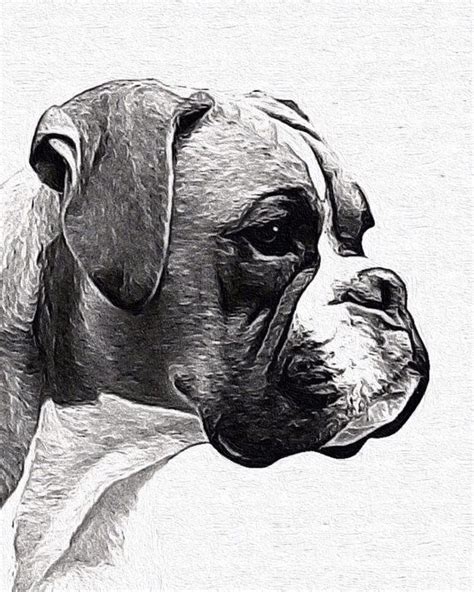 Boxer Bw Without Cropped Ears Painted In Acrylic Boxer Dogs Art
