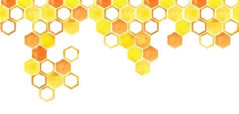 Watercolor Illustration Seamless Pattern Border Frame Honeycomb Of