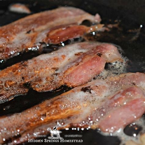 How To Render And Use Bacon Grease · Hidden Springs Homestead