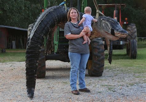 The Story Behind The Sci World Record Alligator Field And Stream