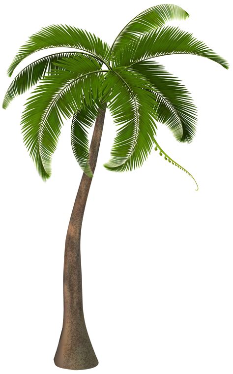 Palm Tree Clipart Palm Treepng Images Free Transparent Png Logos