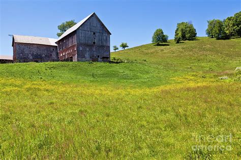 June Hillside Barn Photograph By Alan L Graham Fine Art America