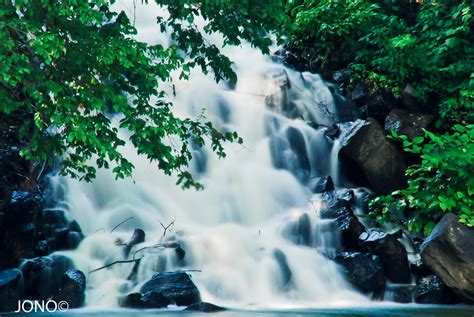 The Water World Rivers Rivulets Streams And Seas Pictures Photo