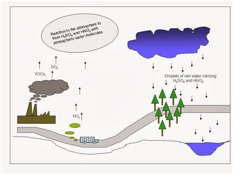 biology notes for igcse 2014 151 air pollution by sulfur dioxide so2 acid rain