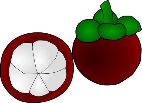 Clip Art Fruits Clipart Best