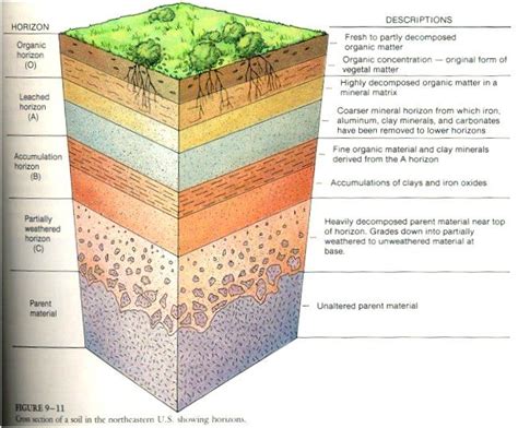 Pin By Margaret Cline On Agriculture Proud Soil Layers Soil Types