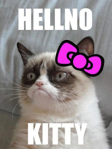 Meme Angry Cat No Image Memes At