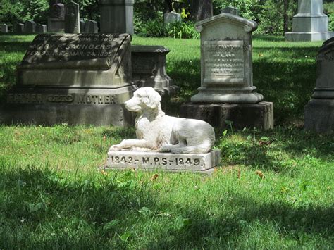Tips On Planning A Pet Funeral Gentle Pet Crossing