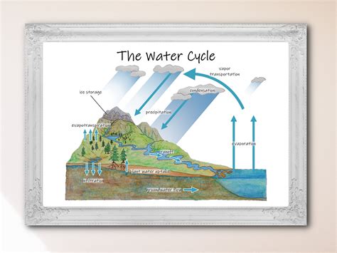 The Water Cycle Diagram Printable Classroom Poster Earth Etsy