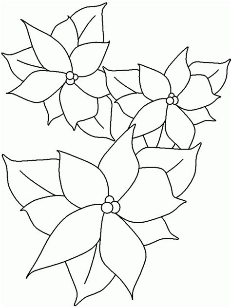 Free Printable Poinsettia Coloring Pages For Kids