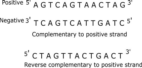 Complementary Dna Sequence Selectiondop