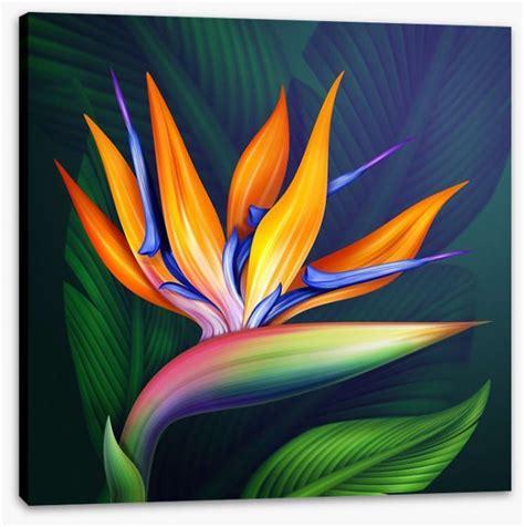 Frequently asked questions about art in paradise, chiang mai 3d art museum. Bird of paradise Stretched Canvas 1220 by Wall Art Prints ...