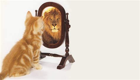 Image Of Kitten Looking In A Mirror And Seeing A Lion Looking Back Yahoo Image Search Results