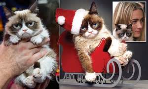 Grumpy Cat Has Made Its Owner £64million Daily Mail Online