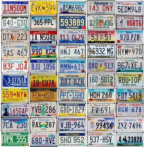 All 50 United States License Plates Premium Lot Tags Colorful