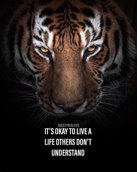 Pin By Sarah French On Tiger Quotes In 2021 Tiger Quotes Daily Motivational Quotes Be