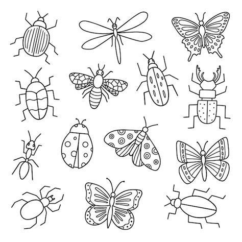 Bugs Outline Images Free Download On Freepik