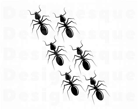 Ants Svg Ant Svg Insect Svg Ants Clipart Ants Files For Etsy