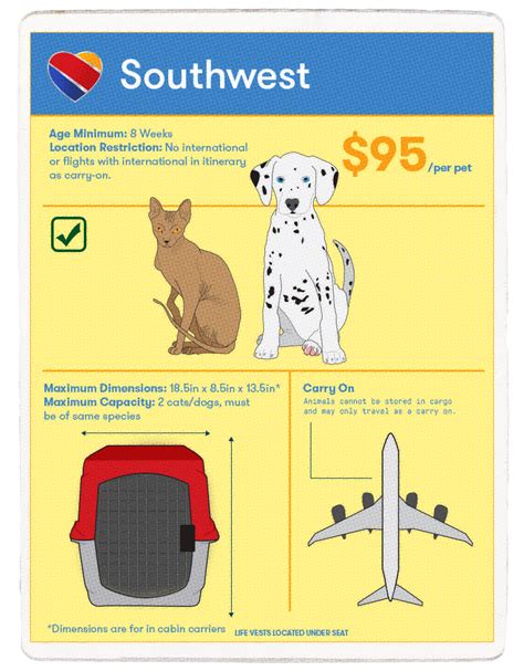 Two pets of the same size and species (generally puppies, kittens or toy dogs) may be allowed in one pet carrier, provided there is adequate room in. The Best Airlines for Pet Travel