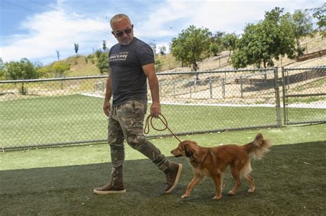 Dog Whisperer Cesar Millan Offers Tips For Dog Owners Los Angeles Times