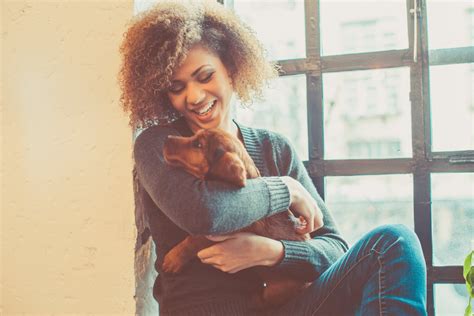 Dog Owners More Sexually Attractive Than People Who Own Cats Metro News