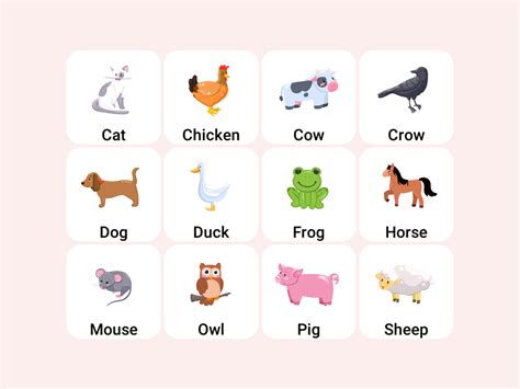 Online Flashcards For Babies With Animal Sounds And Games Amax Kids