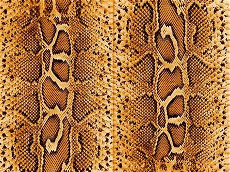 Adobe.com has been visited by 1m+ users in the past month Human and Animal Skin Leather Textures for Photoshop | PSDDude