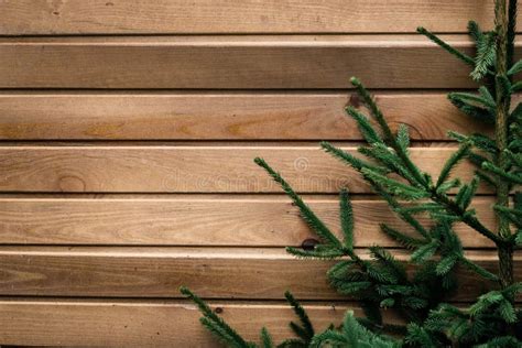 Fresh Green Christmas Tree Branches On Wooden Planks Natural Wood