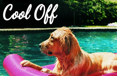 Beat The Heat And Cool Off With 6 Chill And Refreshing Music Channels
