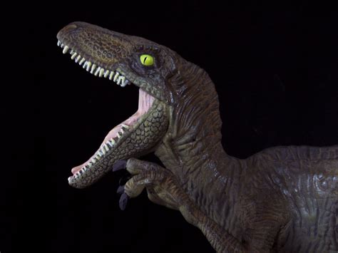 Jurassic Park Raptor 1 A Photo On Flickriver
