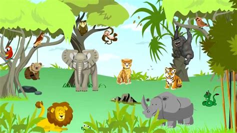 Learn Jungle The Best Wild Animal Sounds For Kids Song For Kids