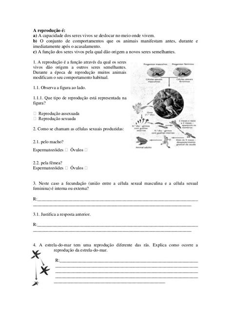 Ficha Ciências Da Natureza 5º Ano