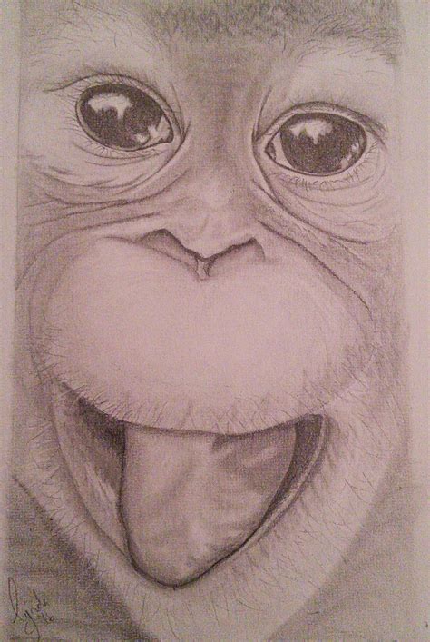 Orangutan Drawing Skill