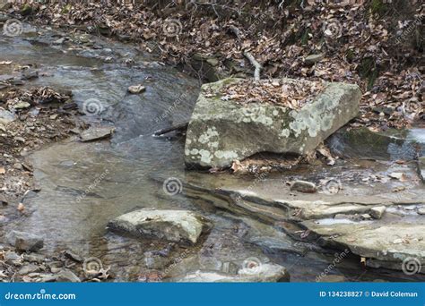 Stream In The Forest With Large Rock Stock Image Image Of Leaves