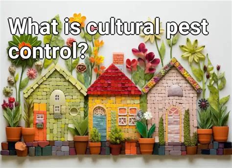 What Is Cultural Pest Control Gardeninggovcapital