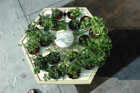 Specialists indicate that hydroponics usually tend to have fewer issues with diseases, pests or bugs. Create Your Own Secret Survival Garden Using a Hydroponic ...