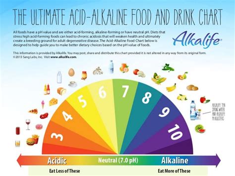 Alkaline Food Chart Infographic Acid And Alkaline Foo