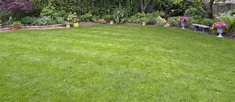 Top 4 Summer Sod Tips For Central Florida Lawns Lake Jem Farms