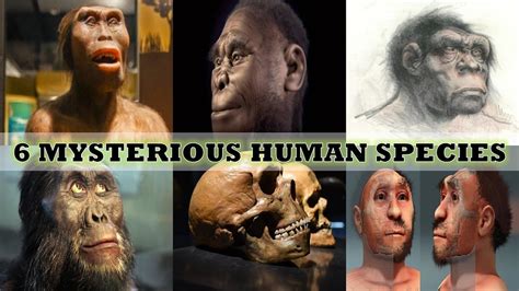 6 Types Of Human Species You Never Knew Existed 2020 Youtube