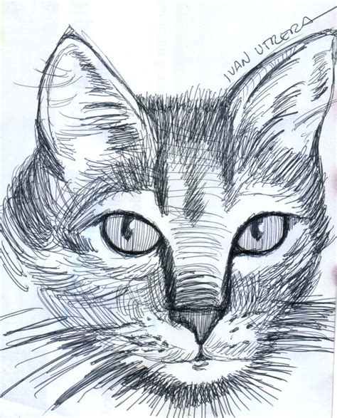Dibujo Gato A Lapicero Dibujos A Lapicero Pintura Y Dibujo Dibujos