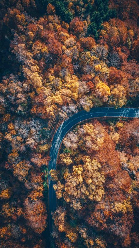Autumn Nature Road Aerial View Iphone Wallpaper Iphone Wallpapers