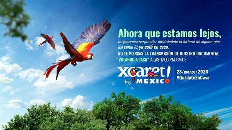 Volando a casa escena 1. Xcaret presentó el documental "Volando a Casa, el Retorno ...