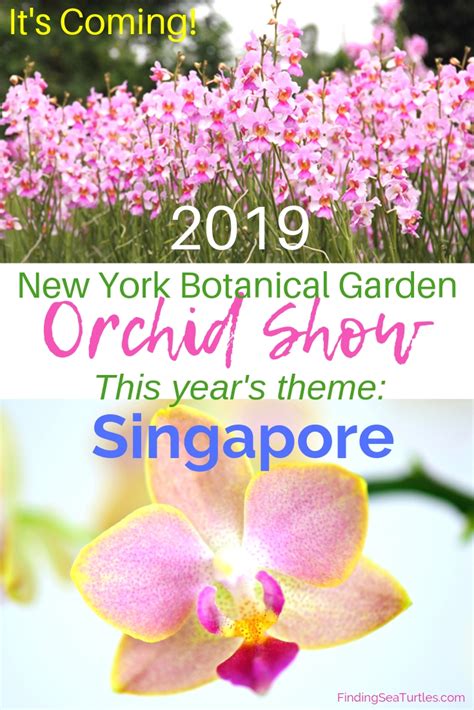 The Orchid Show 2019 Singapore