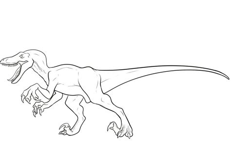 Velociraptor Coloring Pages Dibujo Para Imprimir Velociraptor